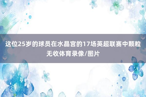 这位25岁的球员在水晶宫的17场英超联赛中颗粒无收体育录像/图片