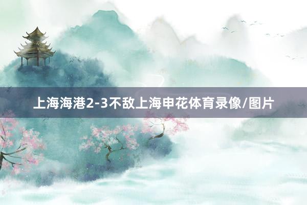 上海海港2-3不敌上海申花体育录像/图片