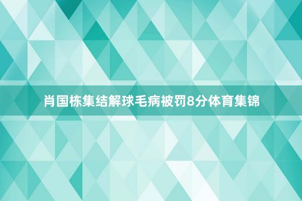 肖国栋集结解球毛病被罚8分体育集锦
