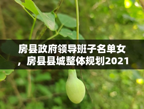 房县政府领导班子名单女，房县县城整体规划2021-2025？