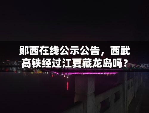 郧西在线公示公告，西武高铁经过江夏藏龙岛吗？